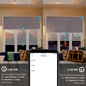 SmartWings Motorized Dual Shades
