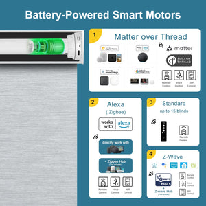 SmartWings Motorized Light Filtering Roller Shades 50% Blackout PVC Free Sunscreen