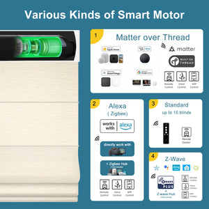 SmartWings Motorized Light Filtering Roman Shades 70% Blackout Clio